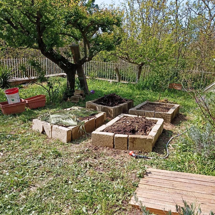 Ripe'S Forest Garden Guest House Roma Dış mekan fotoğraf